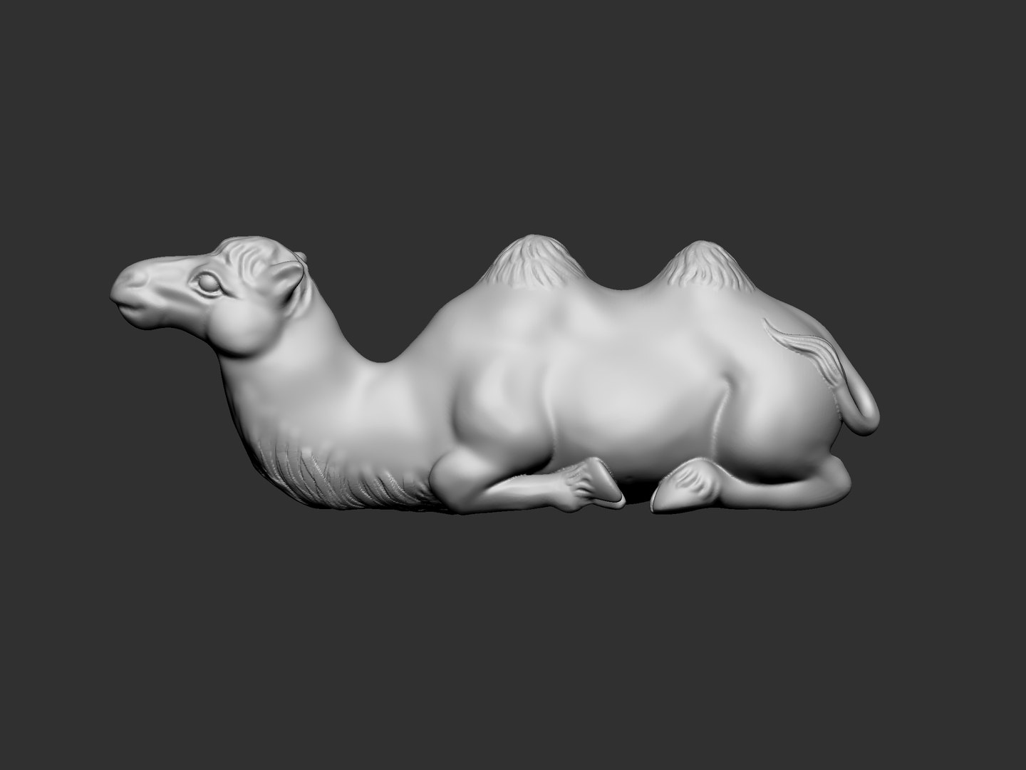 Camel Model - TurboSquid 2168972