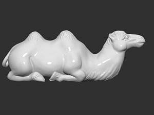 camel