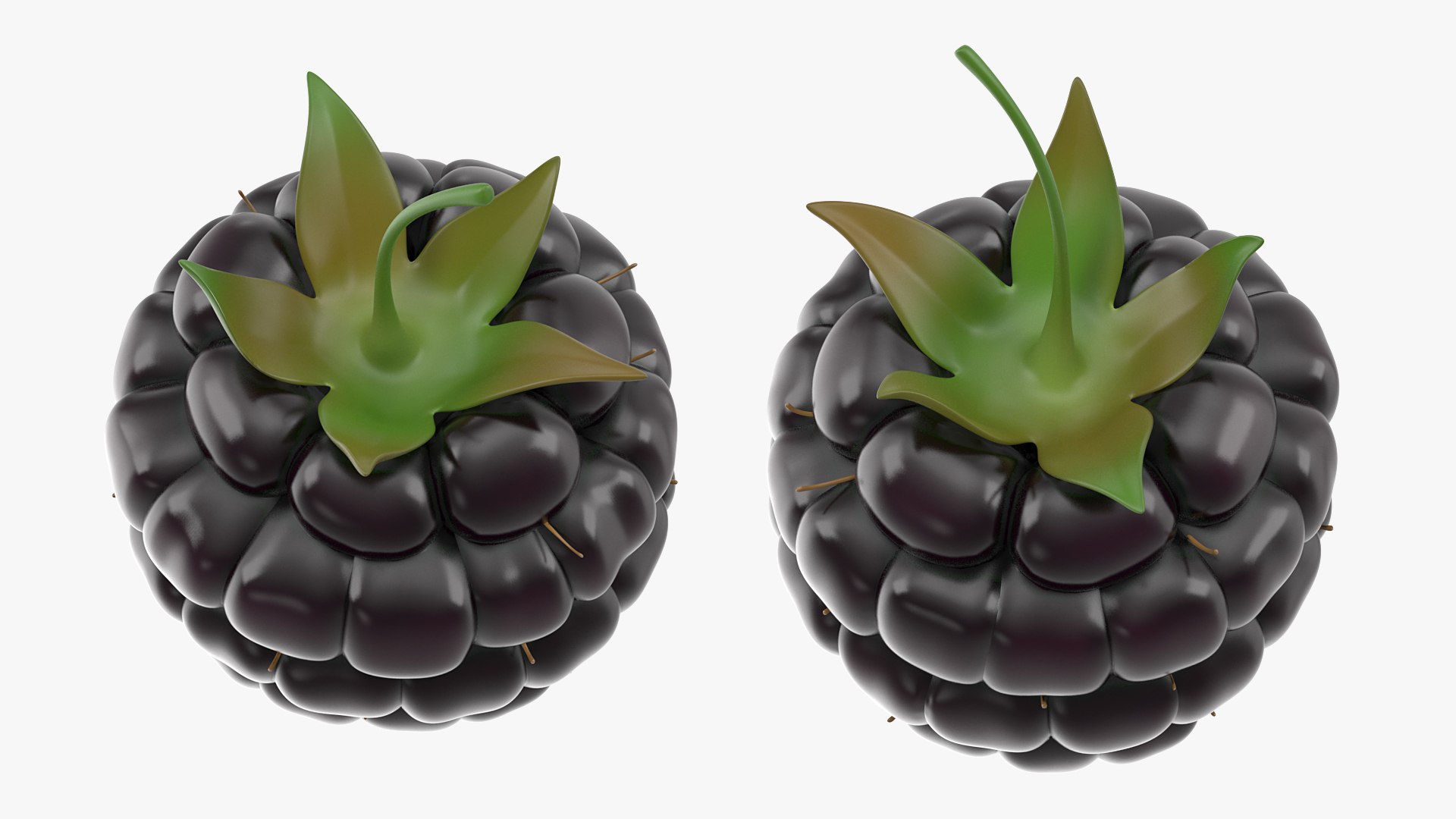 3D fresh blackberry https://p.turbosquid.com/ts-thumb/wE/nWWHsW/2pZtFmTN/freshblackberry3dmodel003/jpg/1593422636/1920x1080/fit_q87/f5bde16fafbde4efaf18d19c3e2a8a9b9ab2485e/freshblackberry3dmodel003.jpg