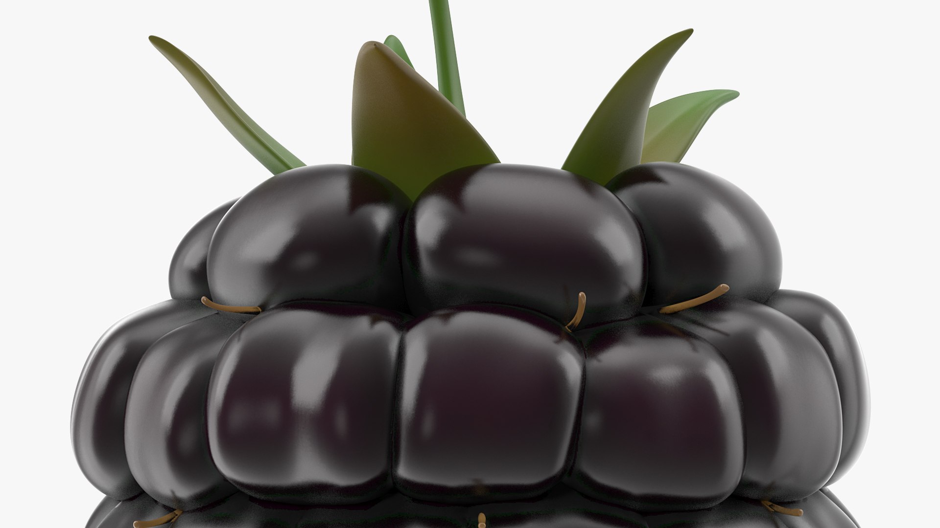 3D fresh blackberry https://p.turbosquid.com/ts-thumb/wE/nWWHsW/AG37OpXF/freshblackberry3dmodel006/jpg/1593422659/1920x1080/fit_q87/56b2f478f145fba3eb6b7ffaf901011235e62a25/freshblackberry3dmodel006.jpg