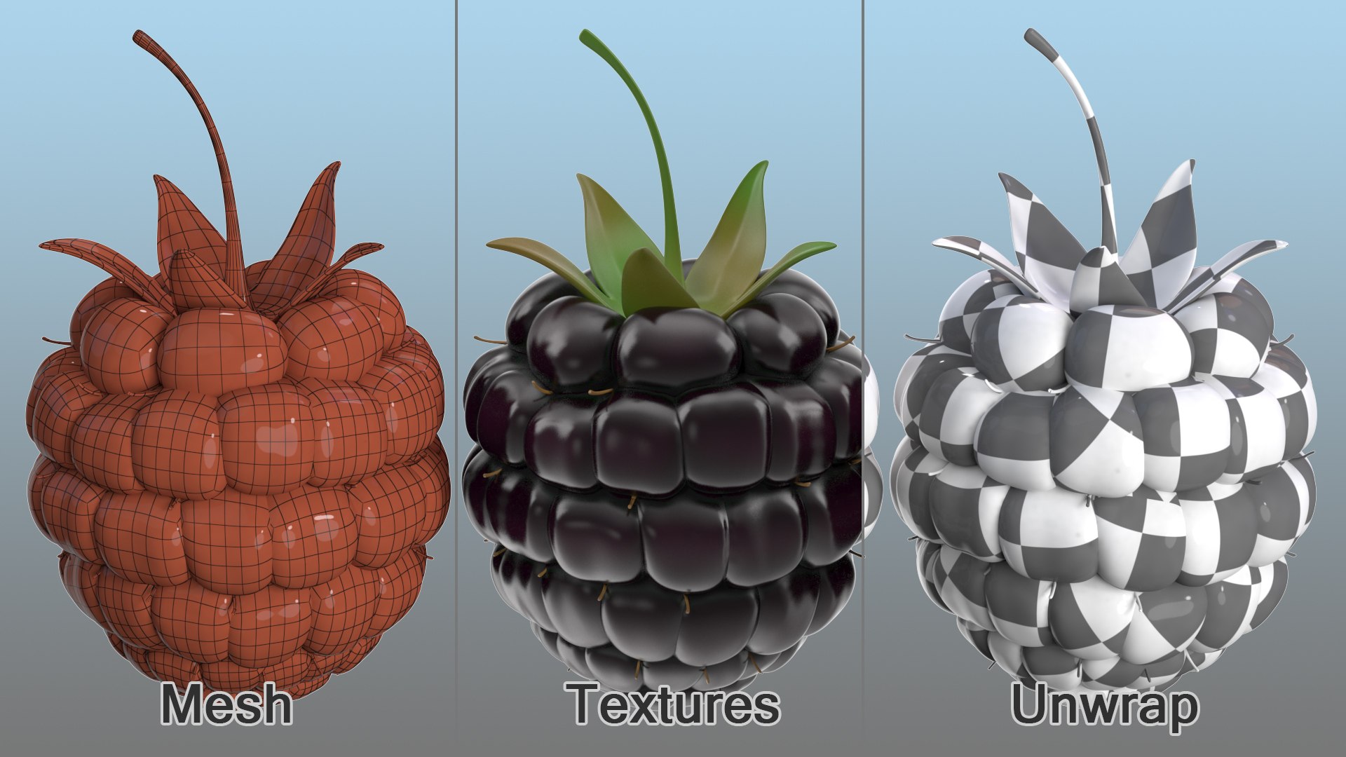 3D fresh blackberry https://p.turbosquid.com/ts-thumb/wE/nWWHsW/EIbmCGj0/freshblackberry3dmodel009/jpg/1593422682/1920x1080/fit_q87/46bebac3a2bcab45af58c688cf5ef2b0ebddcd56/freshblackberry3dmodel009.jpg