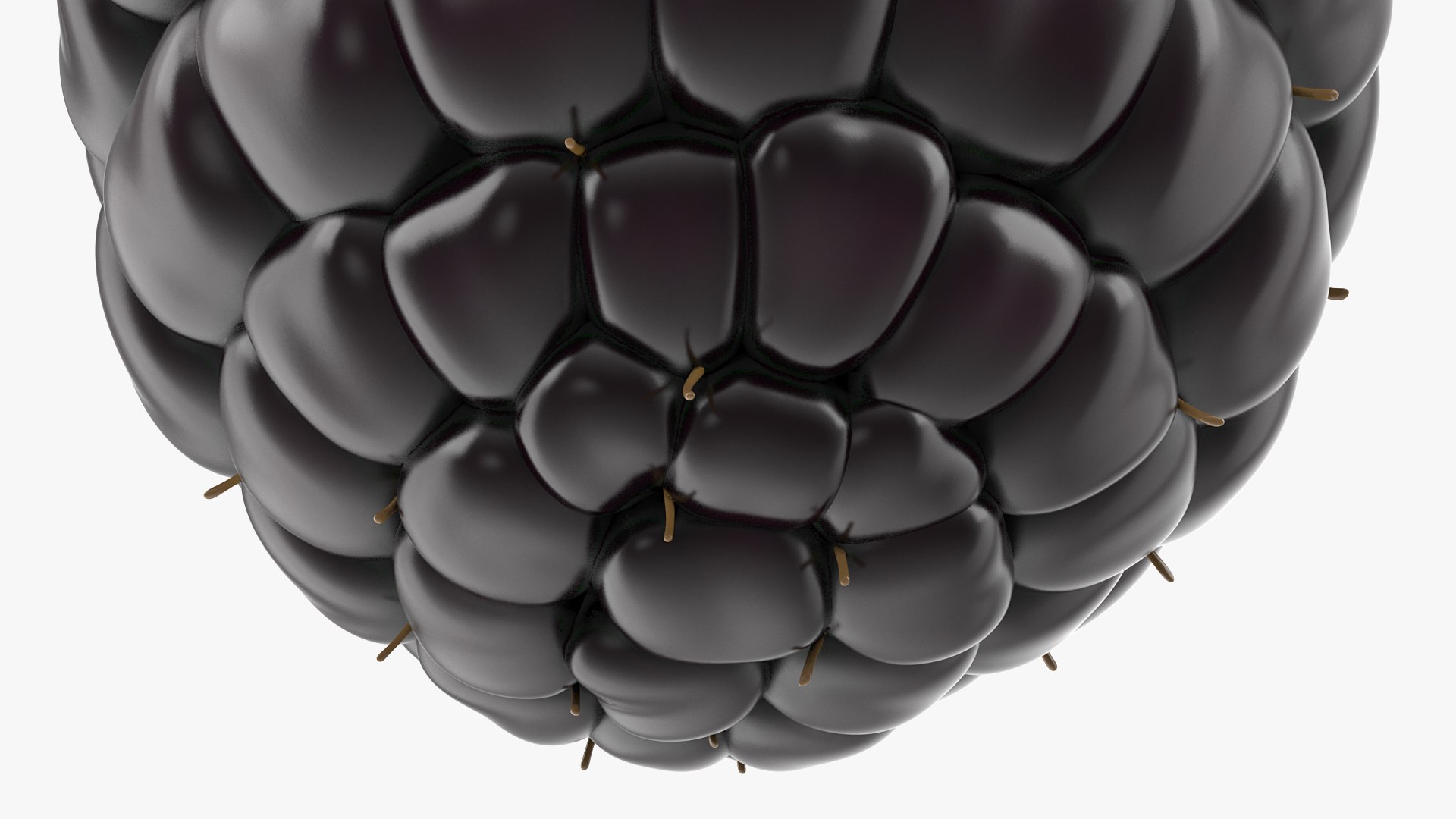 3D fresh blackberry https://p.turbosquid.com/ts-thumb/wE/nWWHsW/FD7Cn2m7/freshblackberry3dmodel008/jpg/1593422674/1920x1080/fit_q87/25cdb007e077bd16c2a24fcd1135330e27ed68bd/freshblackberry3dmodel008.jpg