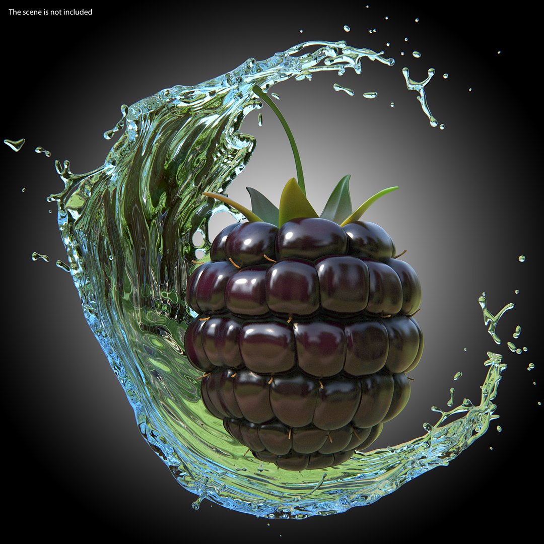 3D fresh blackberry https://p.turbosquid.com/ts-thumb/wE/nWWHsW/P1zSe8T6/freshblackberry3dmodel002/jpg/1593422627/1920x1080/fit_q87/006b90c0e8b46adb0cafcb7d97f7054cfea0649f/freshblackberry3dmodel002.jpg