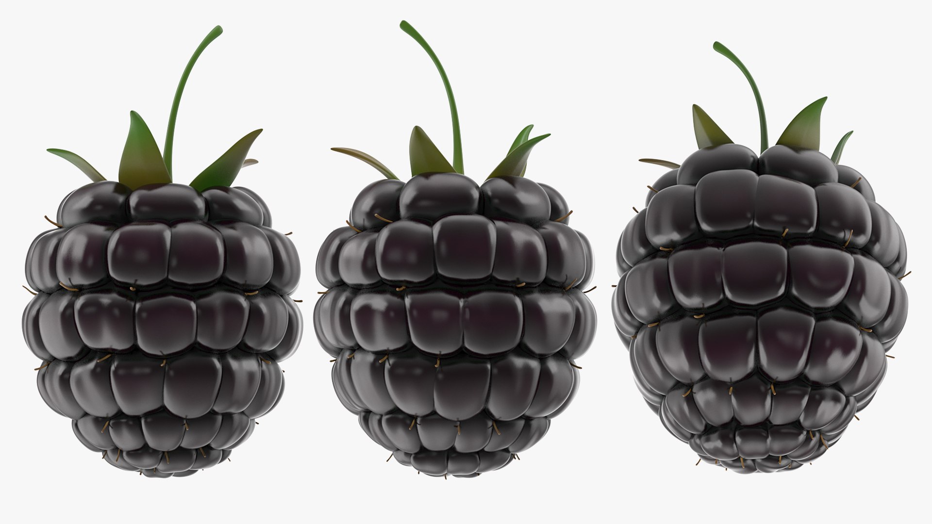 Fresh Blackberry 3D model preview