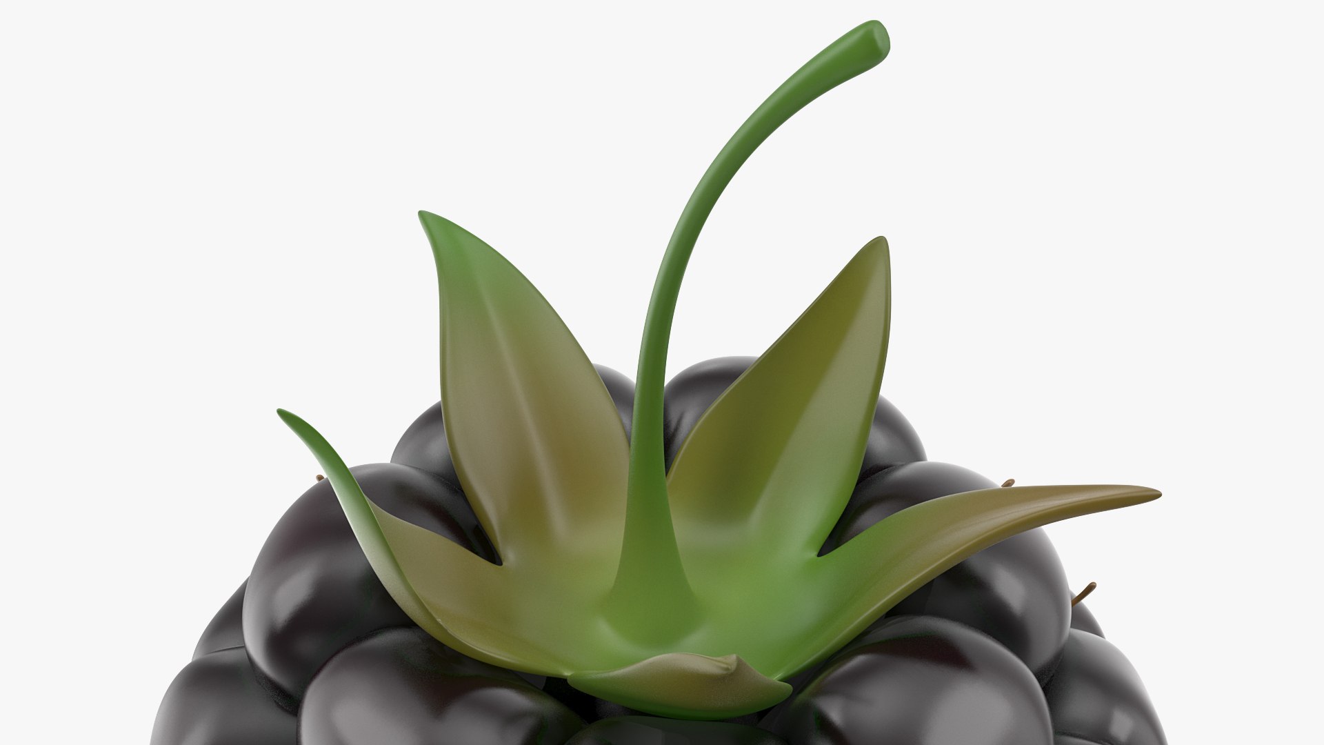 3D fresh blackberry https://p.turbosquid.com/ts-thumb/wE/nWWHsW/h3p0nHIP/freshblackberry3dmodel005/jpg/1593422651/1920x1080/fit_q87/60c471f27d0dfb988d63211abceabb3a09de3a90/freshblackberry3dmodel005.jpg