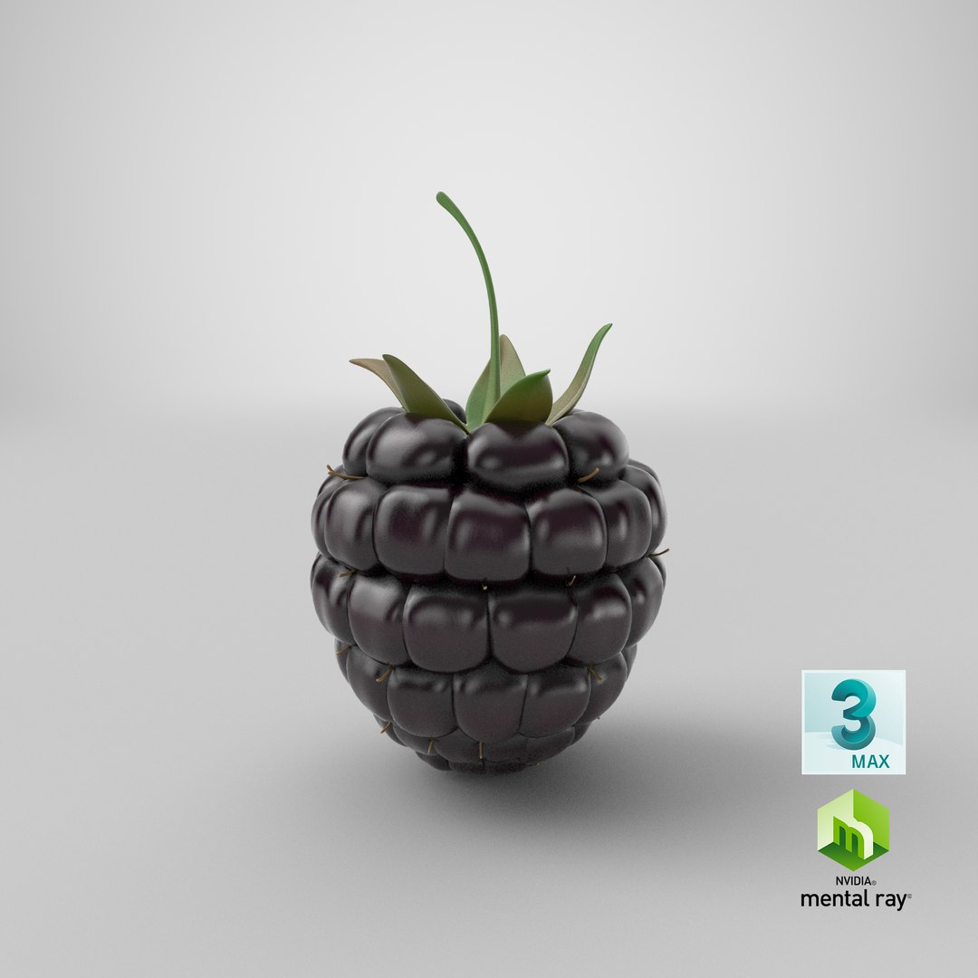 3D fresh blackberry https://p.turbosquid.com/ts-thumb/wE/nWWHsW/peP072jD/stemcell_max_mental_ray_render/png/1595393972/1920x1080/fit_q87/f7c60468d7aba301d173b041208015606c6820cf/stemcell_max_mental_ray_render.jpg