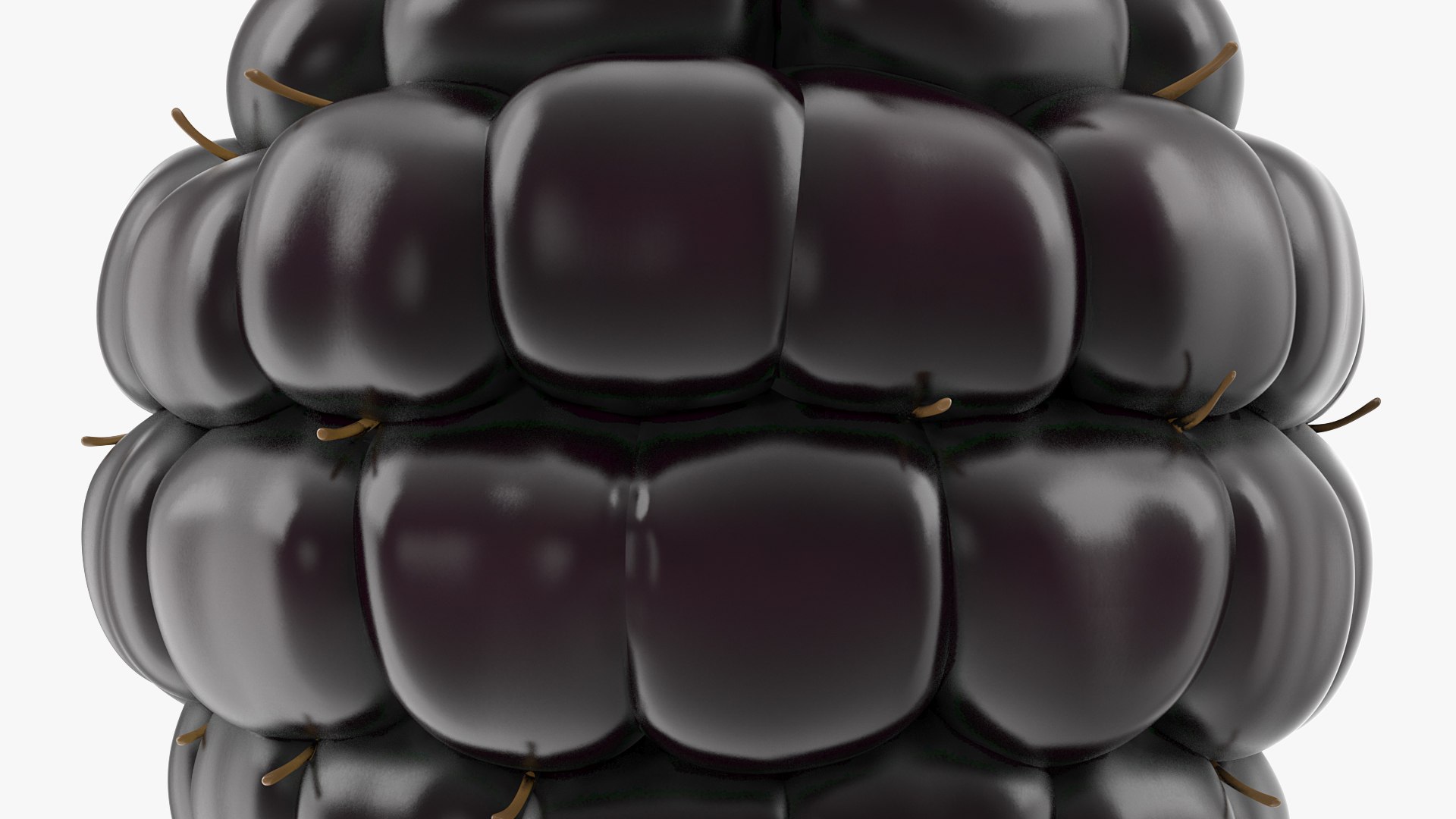 3D fresh blackberry https://p.turbosquid.com/ts-thumb/wE/nWWHsW/vjvlXYZ2/freshblackberry3dmodel007/jpg/1593422667/1920x1080/fit_q87/0f10a44a04a7bee8a283c646f4aca1e8fd07983a/freshblackberry3dmodel007.jpg