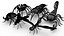 3D model Insects pack