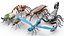 3D model Insects pack