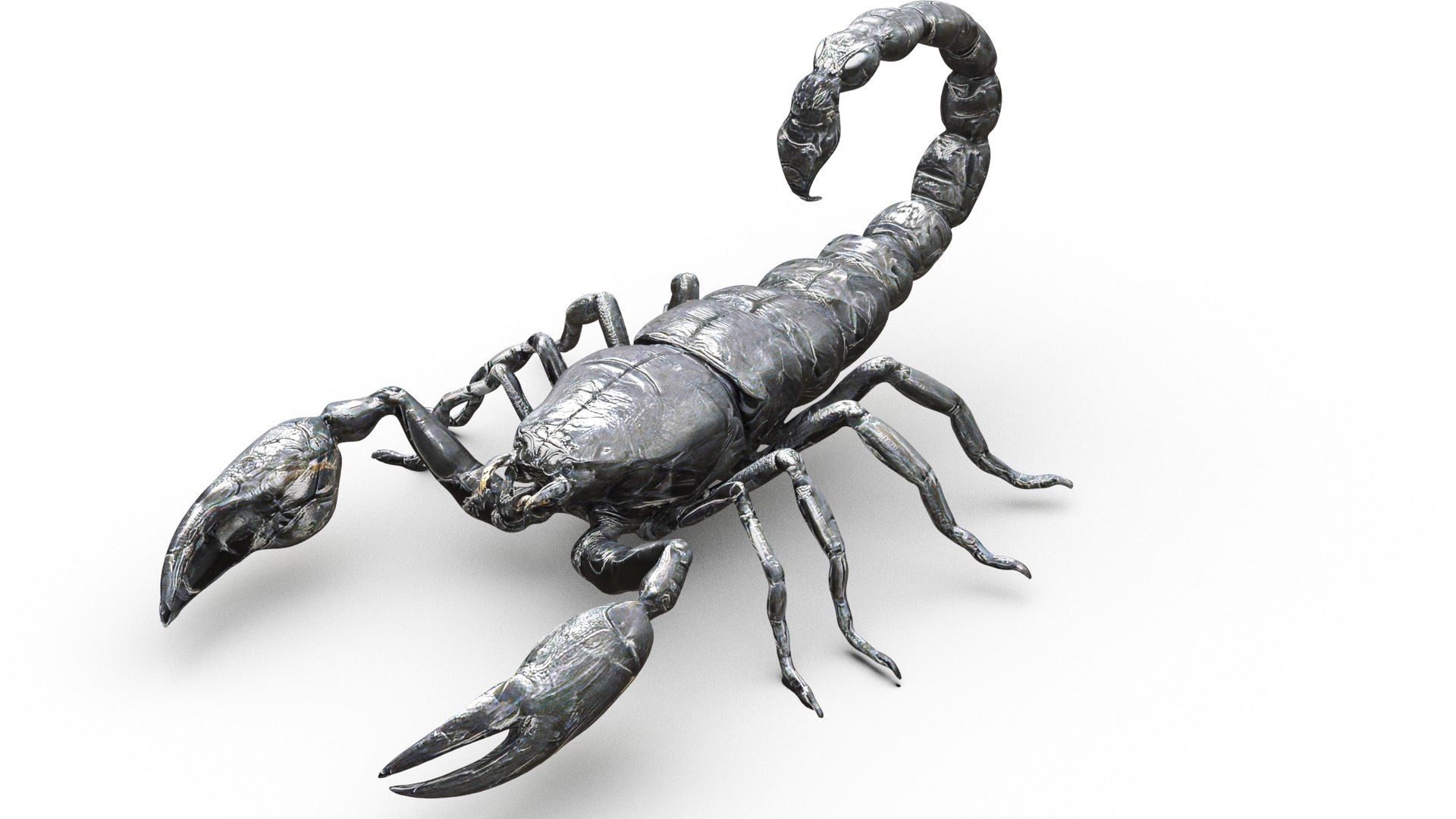 3D Model Insects Pack - TurboSquid 2318624