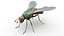 3D model Insects pack