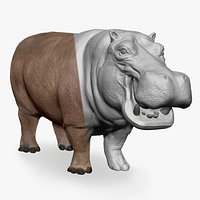 Hippopotamus  - Sculpt
