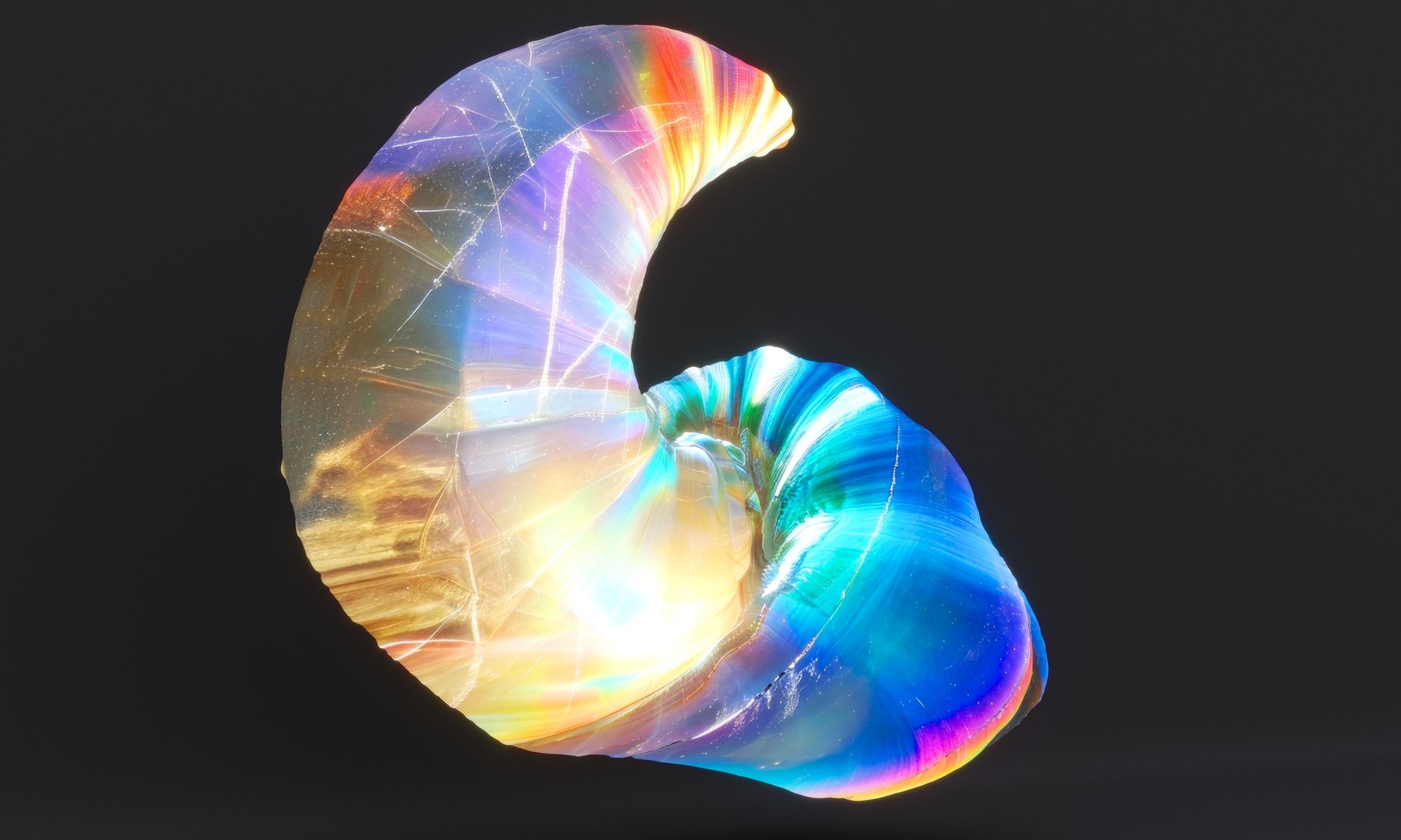 Colorfull Seashell Pack 3D model - TurboSquid 2177568