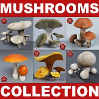 Mushrooms Collection