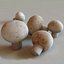 3ds mushrooms set lactarius