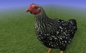 3d max black chicken