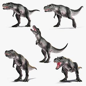 Rigged T Rex Roaring Animated Collection 2 3D model
