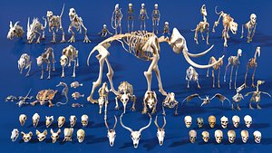 Ultimate Skeleton Pack - 62 game-ready lowpoly assets