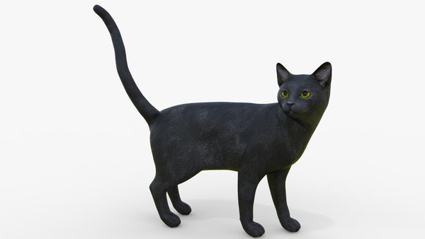 3D Модель Black Cat Rigged For Cinema - TurboSquid 2069760