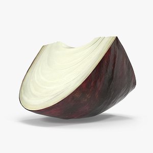 red onion cross section 3D model