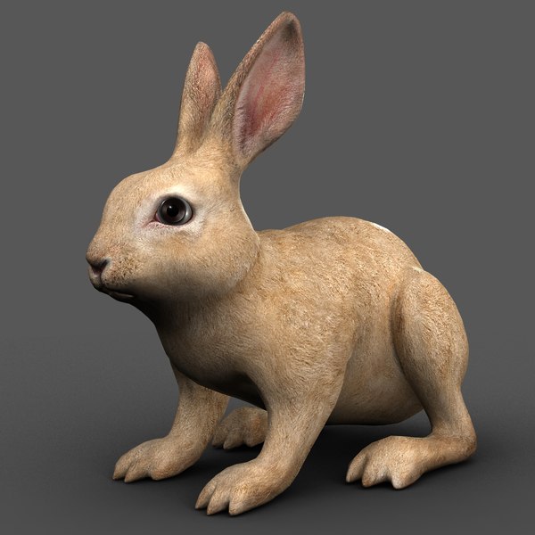 3d model rabbit