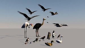 3D model Game ready Low Poly bird collection