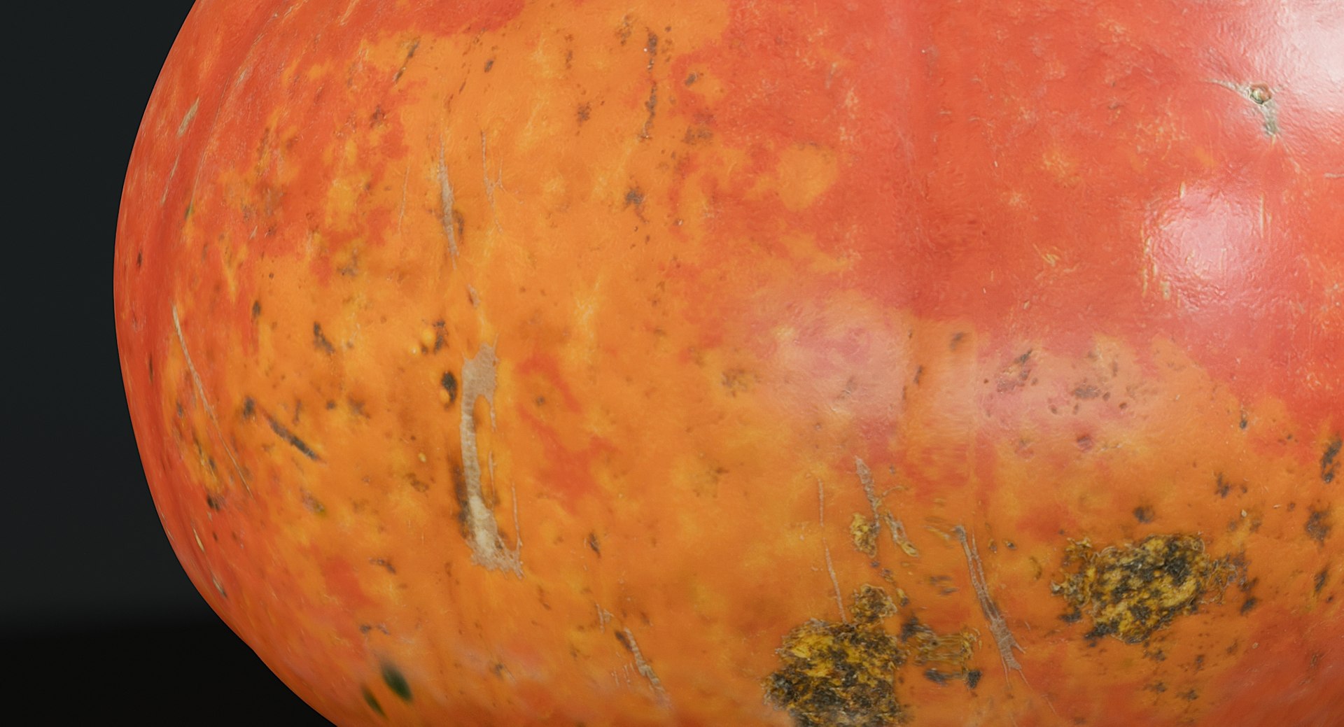 realistic pumpkin small 2 3D model https://p.turbosquid.com/ts-thumb/wG/BPzl9F/8zH1N2sY/_view09/jpg/1569773790/1920x1080/fit_q87/07ca15d62ffdfb8bb899eaeeacfc1958f0726a24/_view09.jpg