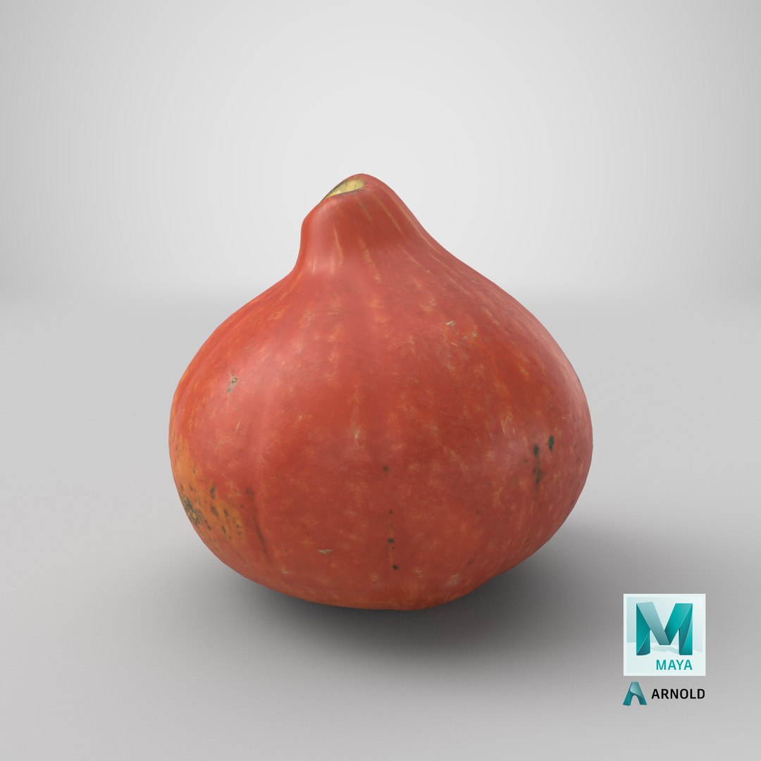 realistic pumpkin small 2 3D model https://p.turbosquid.com/ts-thumb/wG/BPzl9F/9RwRqqOZ/stemcell_maya_arnold_render/png/1570338518/1920x1080/fit_q87/9b0529fa9d561fdea59519c646c744aa530f4ac2/stemcell_maya_arnold_render.jpg