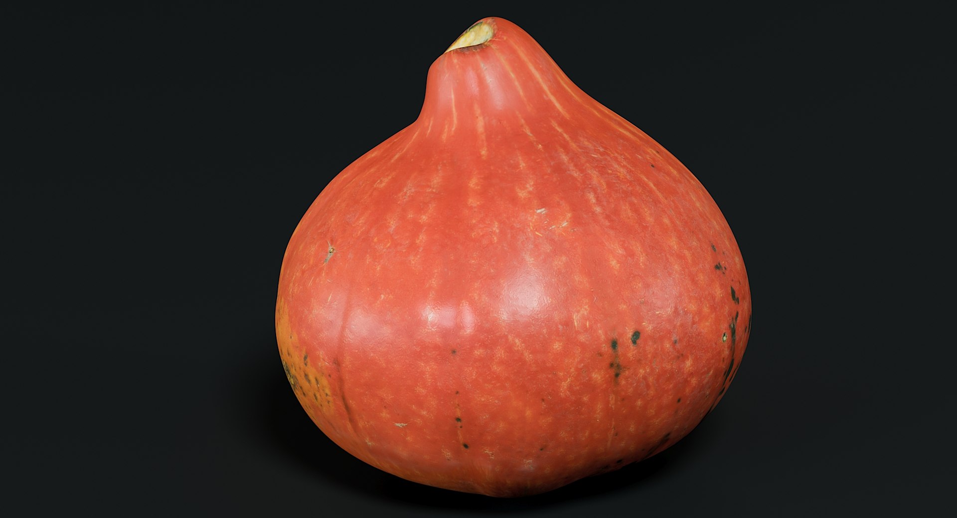 realistic pumpkin small 2 3D model https://p.turbosquid.com/ts-thumb/wG/BPzl9F/CVmWsZIR/_view03/jpg/1569773789/1920x1080/fit_q87/cc174372670d697557c147dbed5d0d4ae91783e1/_view03.jpg