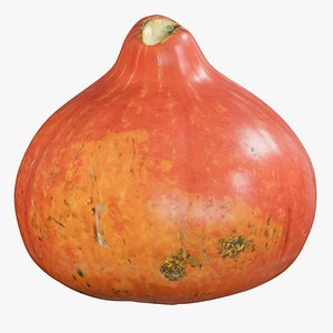 realistic pumpkin small 2 3D model