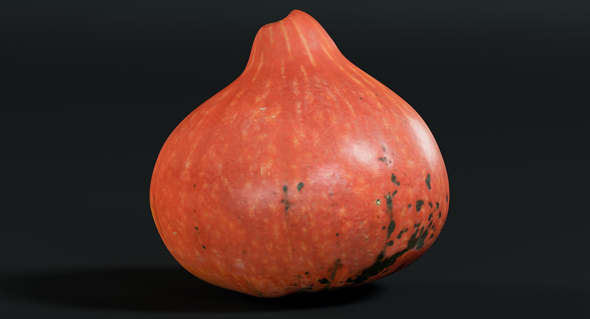 realistic pumpkin small 2 3D model https://p.turbosquid.com/ts-thumb/wG/BPzl9F/kcXrETMP/_view120018/jpg/1569773790/1920x1080/fit_q87/e832ddf48fdd693686b2856a9401f2eb193d4099/_view120018.jpg