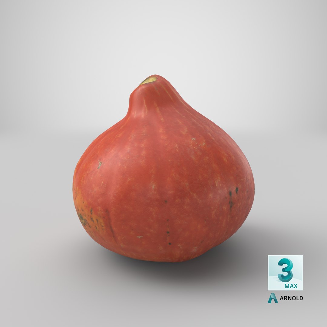 realistic pumpkin small 2 3D model https://p.turbosquid.com/ts-thumb/wG/BPzl9F/m5kieKIo/stemcell_max_arnold_render/png/1570338506/1920x1080/fit_q87/e21641b8c9646700e33c314d5a1b96b016dfcbf4/stemcell_max_arnold_render.jpg