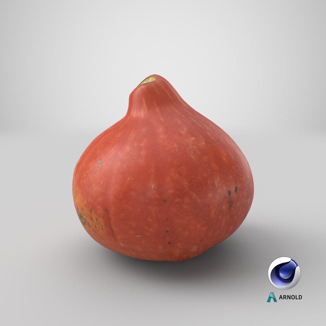 realistic pumpkin small 2 3D model https://p.turbosquid.com/ts-thumb/wG/BPzl9F/ucnSKzwi/stemcell_cinema_4d_arnold_render/png/1570338494/1920x1080/fit_q87/32665c3c6946911c1407d31aefc8c6037cef70d0/stemcell_cinema_4d_arnold_render.jpg