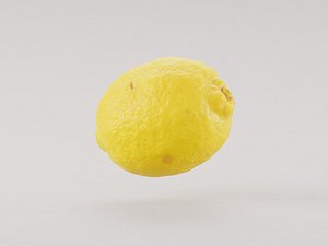 Lemon fruit 3d model