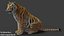 Tiger 2 (Fourrure) Rigged