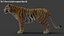 Tiger 2 (Fourrure) Rigged