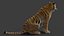 Tiger 2 (Fourrure) Rigged