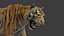 Tiger 2 (Fourrure) Rigged