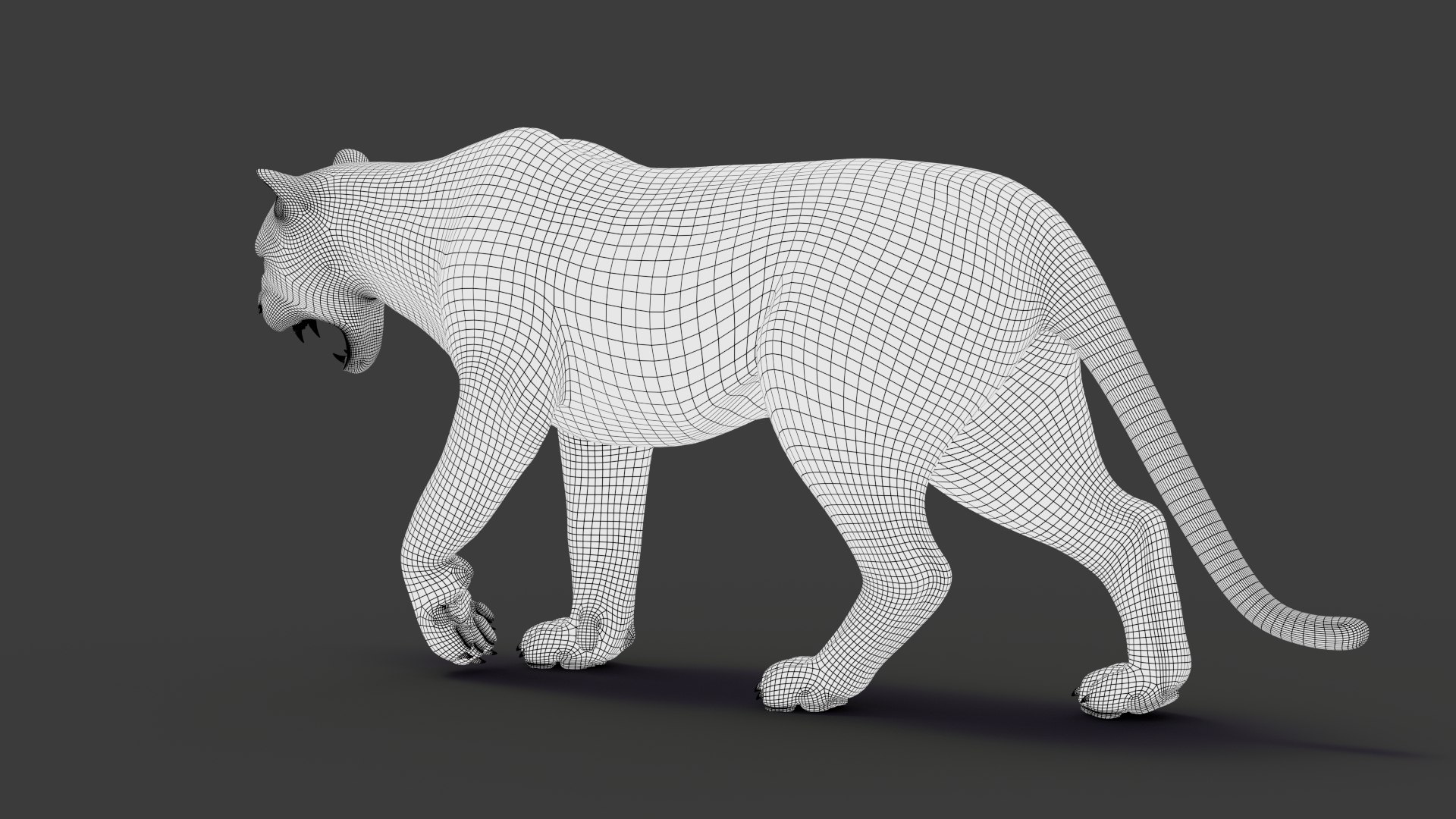 tiger 2 fur rigged 3D model https://p.turbosquid.com/ts-thumb/wG/cHys7s/PkjoxQHG/tigerfurrigged24/jpg/1568456051/1920x1080/fit_q87/6502b39cc7020d08cd1e4b232dfcf5b9a5727013/tigerfurrigged24.jpg