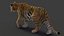 Tiger 2 (Fourrure) Rigged