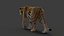 Tiger 2 (Fourrure) Rigged
