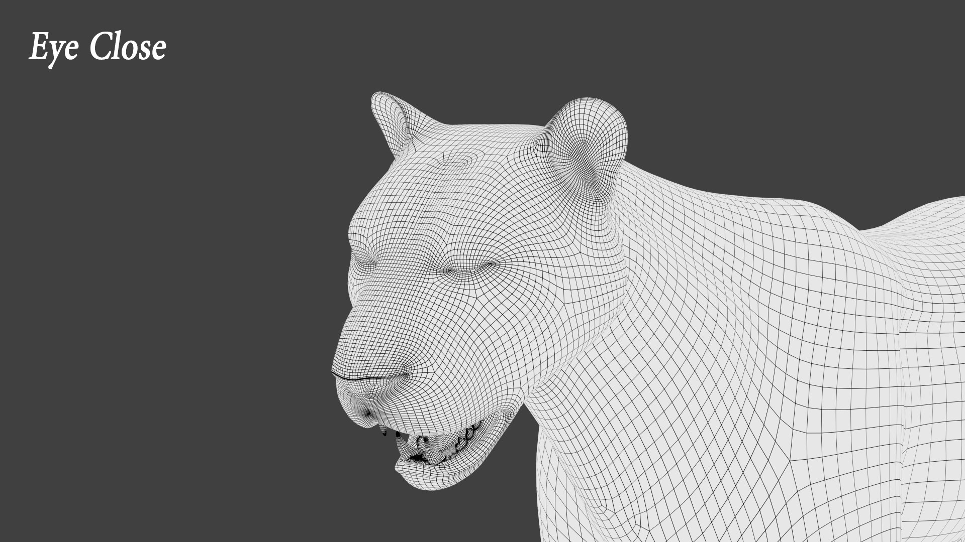 tiger 2 fur rigged 3D model https://p.turbosquid.com/ts-thumb/wG/cHys7s/baiu5cIS/tigerfurrigged22/jpg/1568456051/1920x1080/fit_q87/23909b189403a1de4188e62699461d68290edb80/tigerfurrigged22.jpg