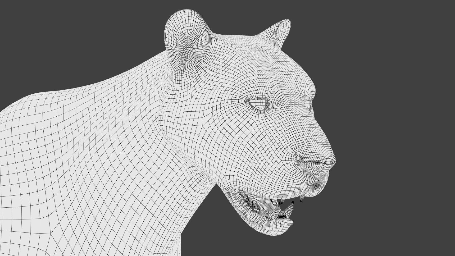 tiger 2 fur rigged 3D model https://p.turbosquid.com/ts-thumb/wG/cHys7s/ggw3rvEG/tigerfurrigged20/jpg/1568456051/1920x1080/fit_q87/9075609208ad064578b99220b1aef302285f44cb/tigerfurrigged20.jpg
