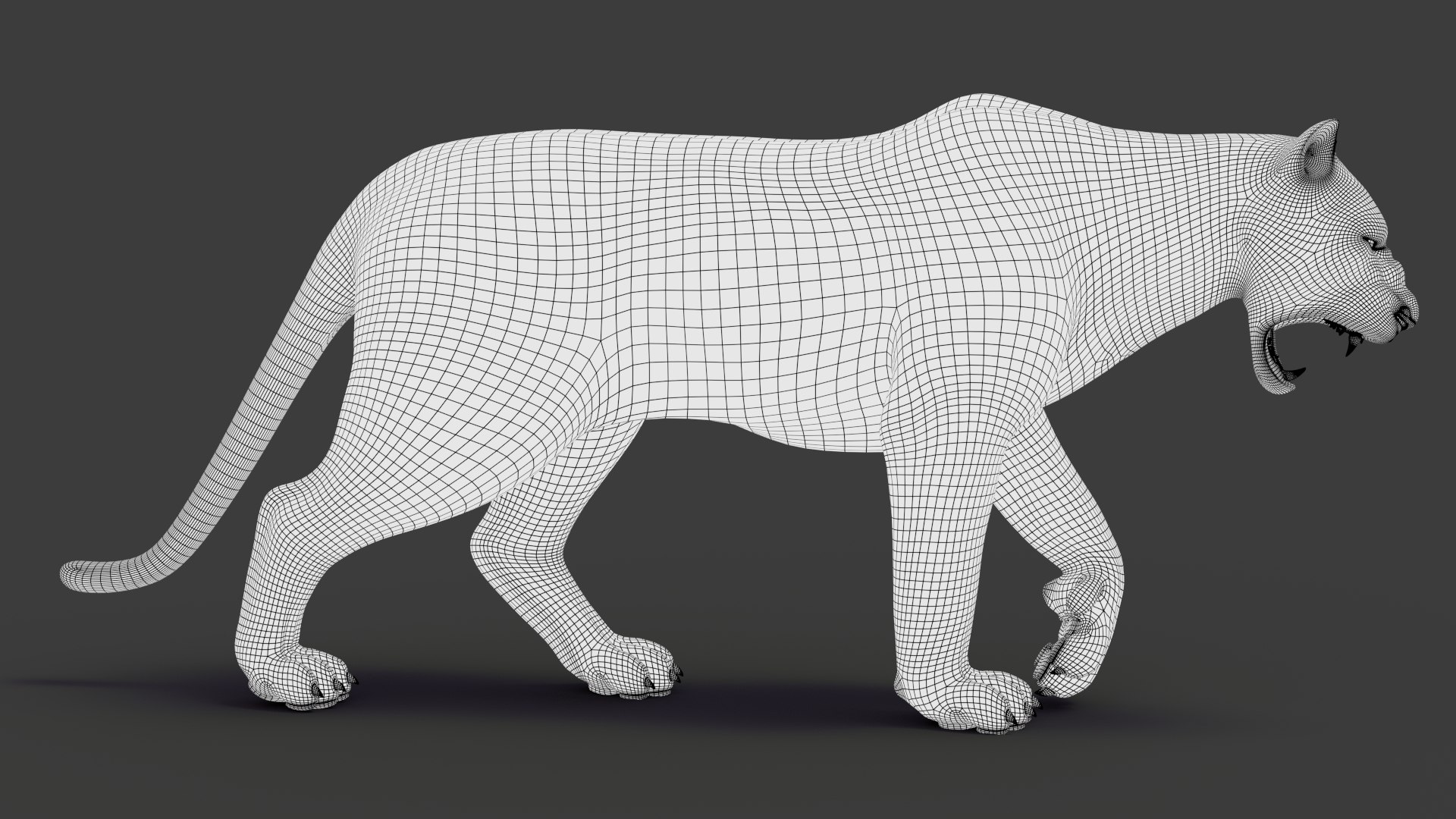 tiger 2 fur rigged 3D model https://p.turbosquid.com/ts-thumb/wG/cHys7s/oWr0jrPT/tigerfurrigged23/jpg/1568456051/1920x1080/fit_q87/960073c6a437f892522a00f36399c6d79697589f/tigerfurrigged23.jpg