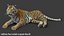 Tiger 2 (Fourrure) Rigged