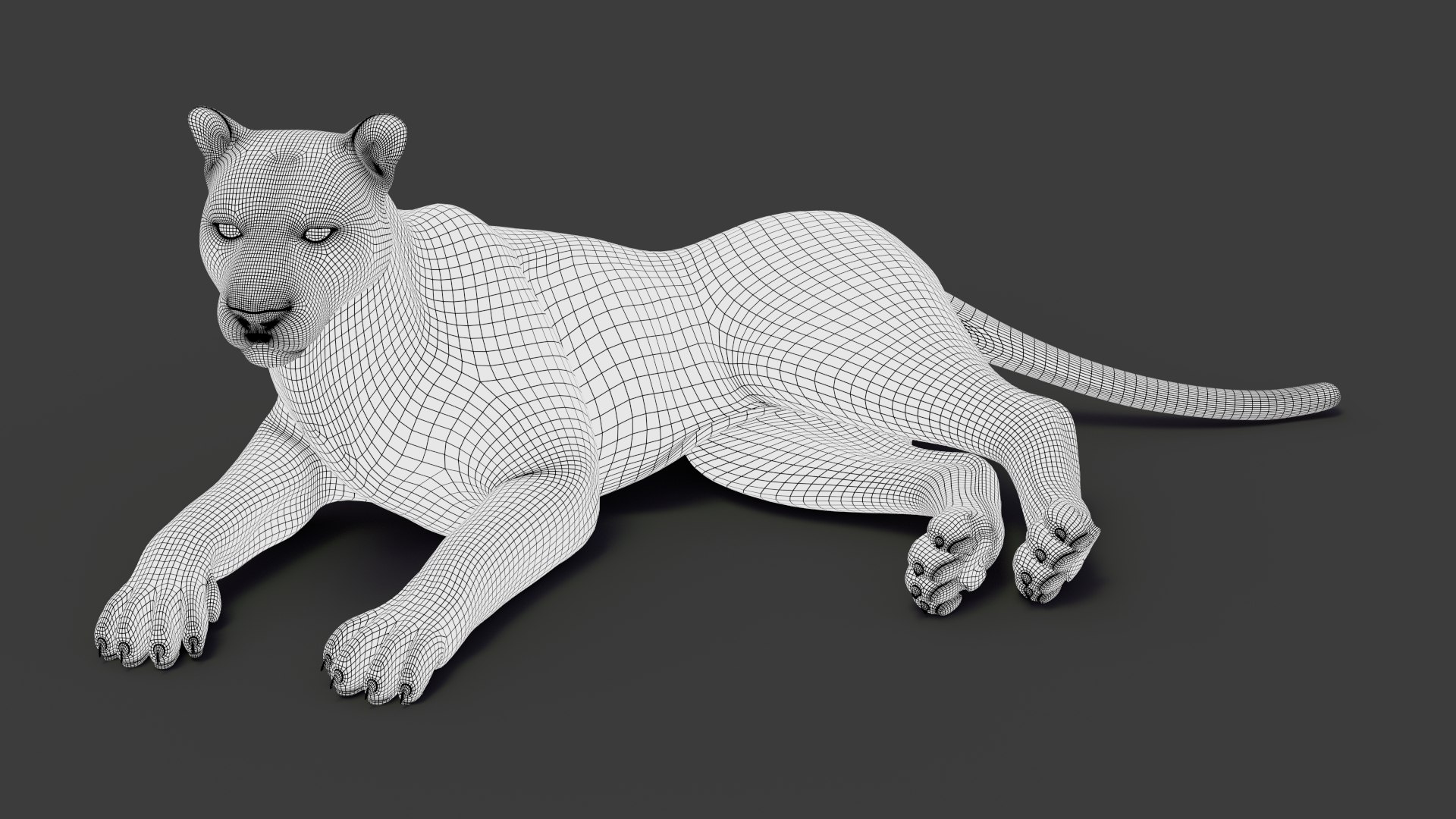 tiger 2 fur rigged 3D model https://p.turbosquid.com/ts-thumb/wG/cHys7s/qcSrtXcX/tigerfurrigged26/jpg/1568456051/1920x1080/fit_q87/5d1c7787d643d438f87aa786fd3768401c1f78ac/tigerfurrigged26.jpg