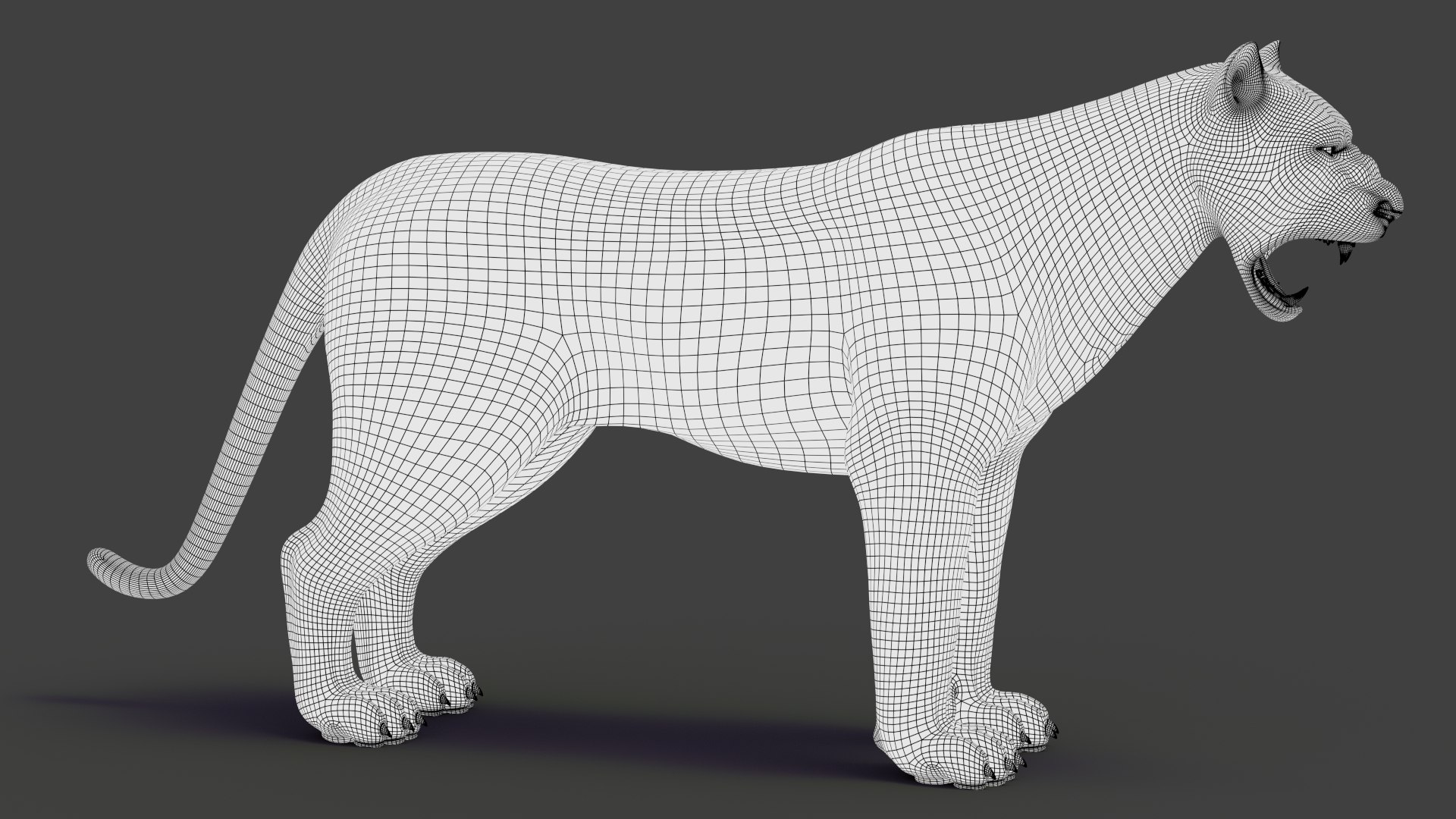 tiger 2 fur rigged 3D model https://p.turbosquid.com/ts-thumb/wG/cHys7s/uCiFfDwn/tigerfurrigged19/jpg/1568456051/1920x1080/fit_q87/2320677e06a1a636b649dc2a781fc0a44cc8a106/tigerfurrigged19.jpg
