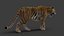 Tiger 2 (Fourrure) Rigged