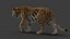 Tiger 2 (Fourrure) Rigged