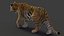 Tiger 2 (Fourrure) Rigged